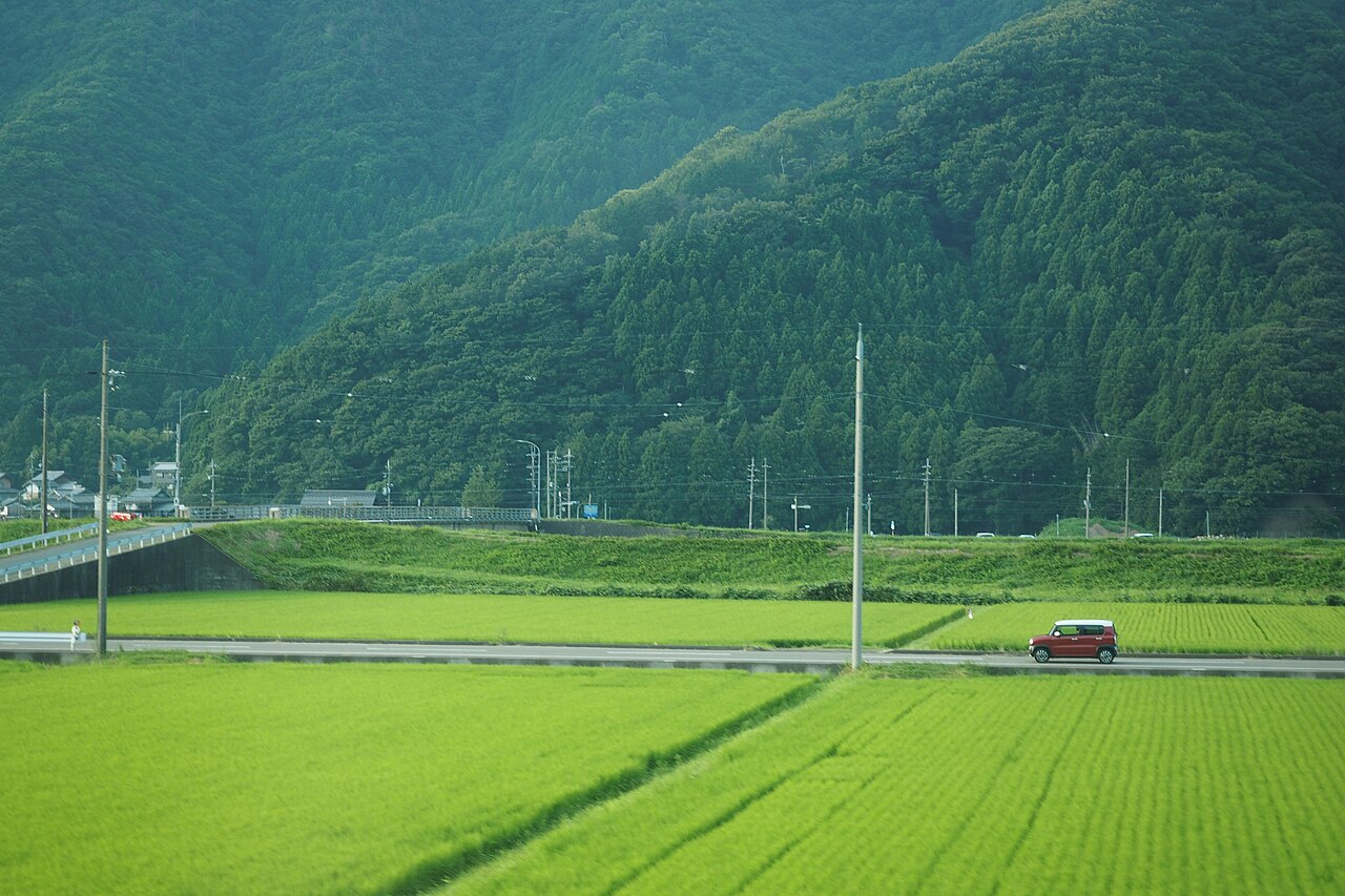 Japanese rural road with distinctive guardrail design
