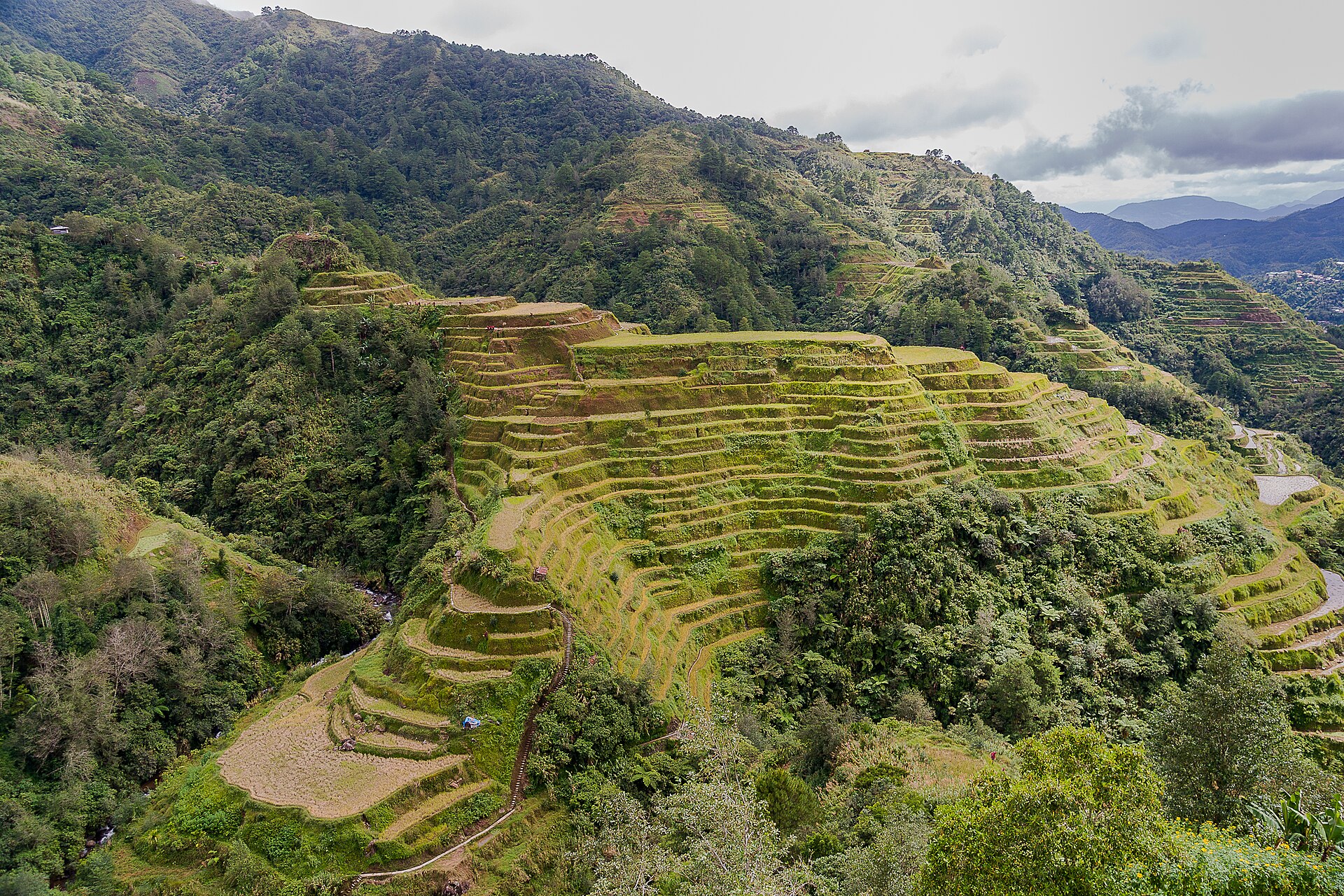 Rice terraces in Banaue, Philippines — agriculture patterns are high-value GeoGuessr meta